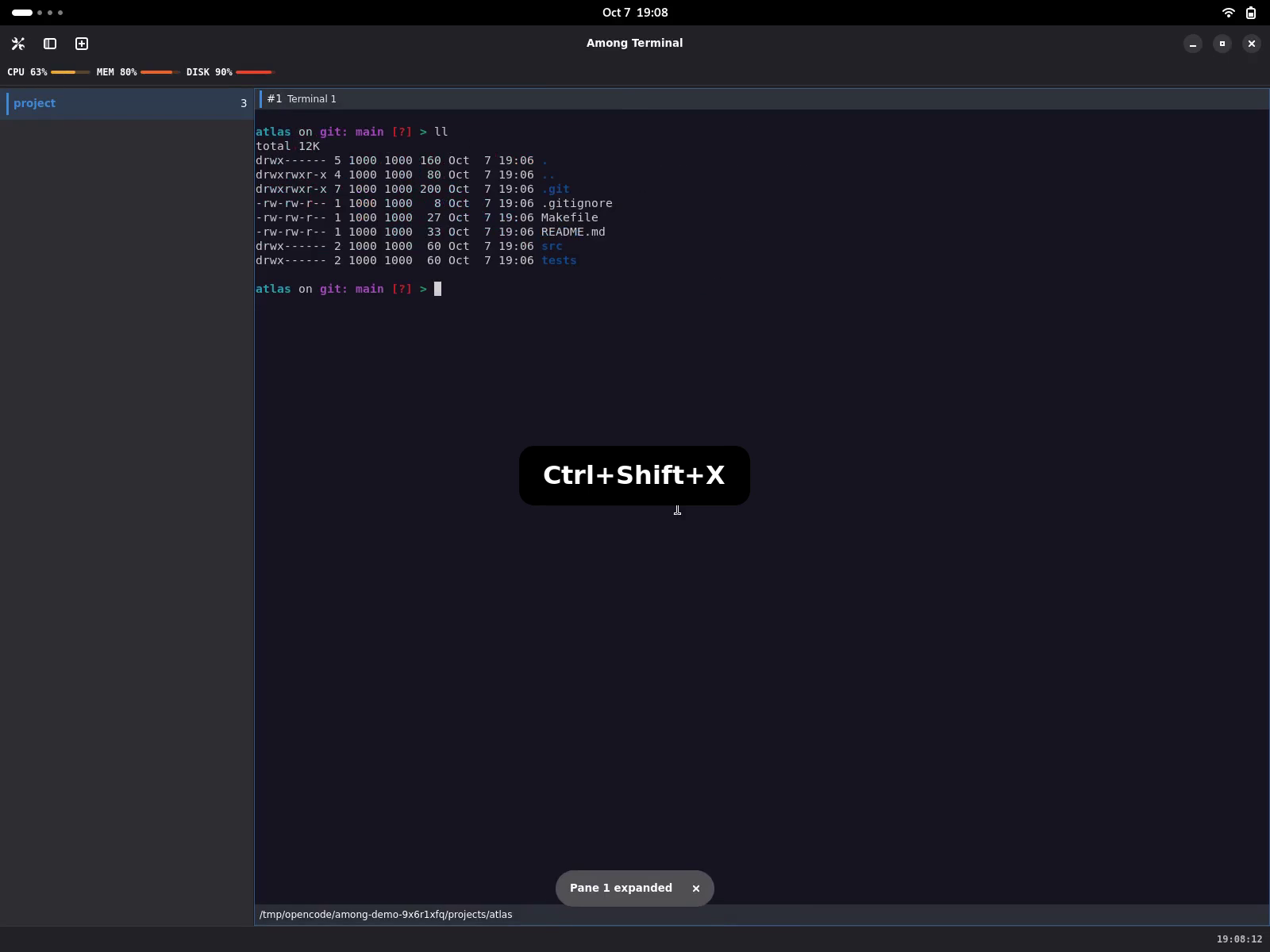 Zooming a pane while preserving the workspace layout